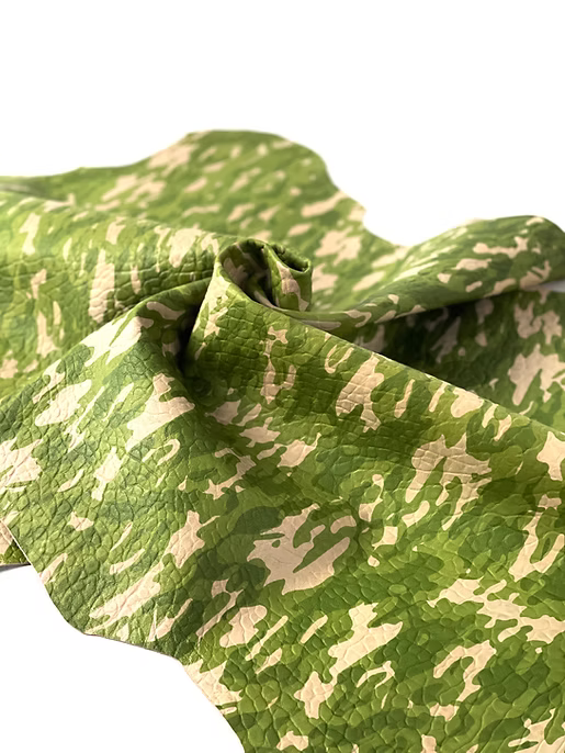 Camouflage Model 1